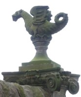 Wyvern in Grange today